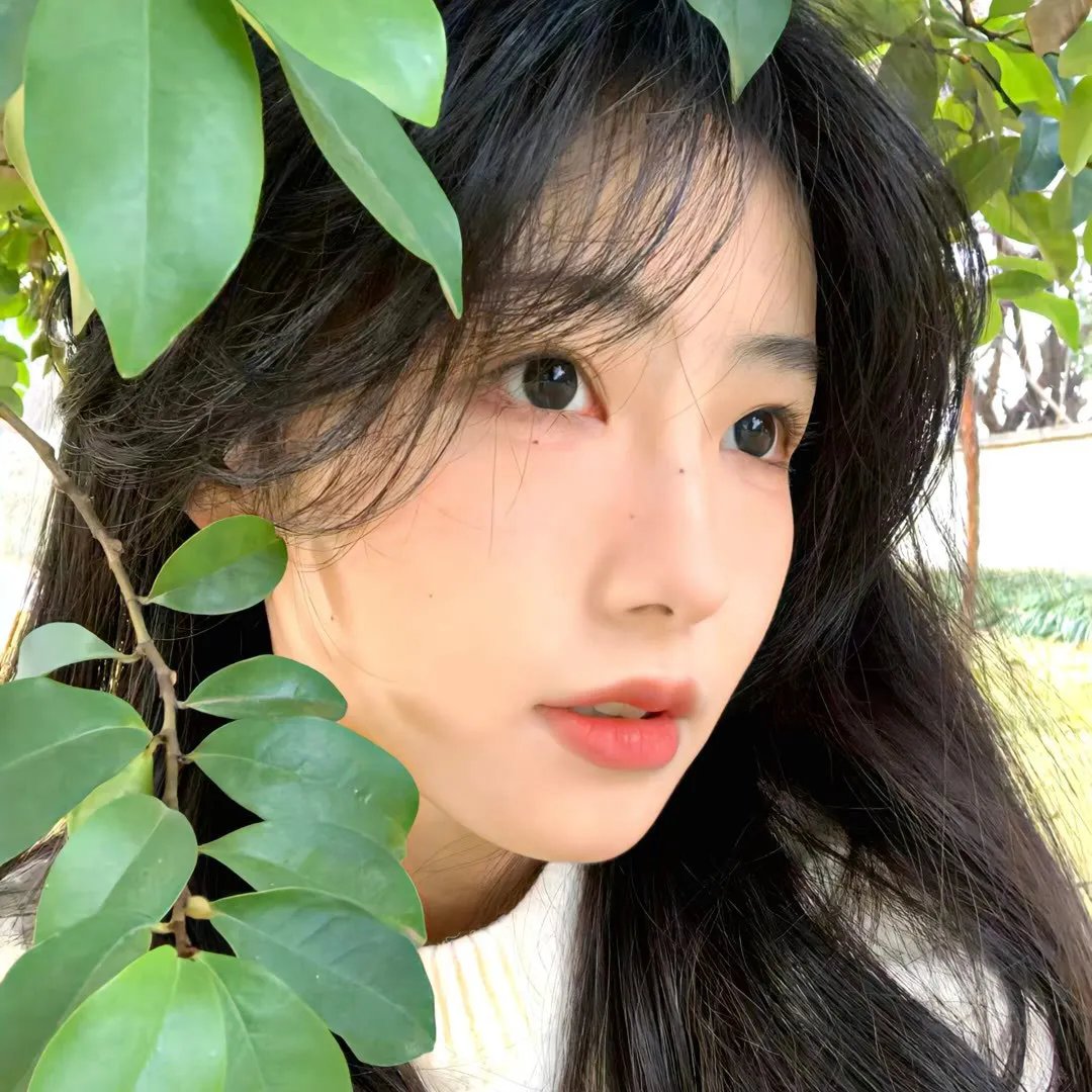 圣诞树5